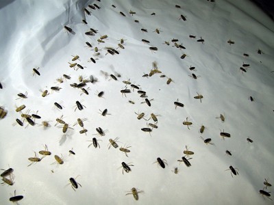 P7042378__.jpg