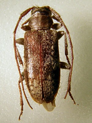 P7172865_cr.jpg
