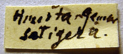 P3224697_.JPG
