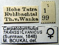 P4174776_z.jpg