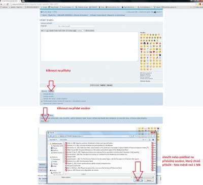 Vložení souboru.jpg