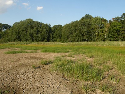 P7214583_z.JPG