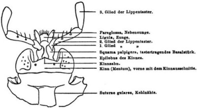 kaf1004a.jpg