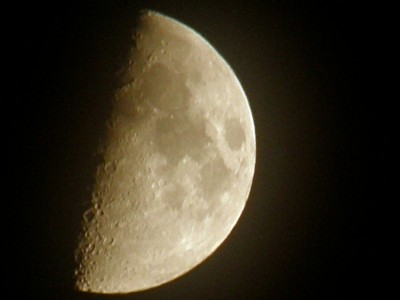 P7270195_cr_cr__.jpg