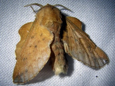 P5113067_cr_z.jpg
