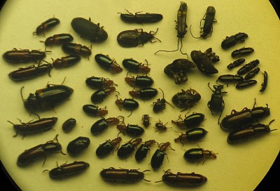 IMG_7082_cr_v_vzorek_21-00 až 22-00_z.jpg