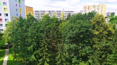 IMG_20220621_111219.jpg