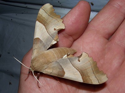P5260122_cr_vz_26-V_2022.jpg