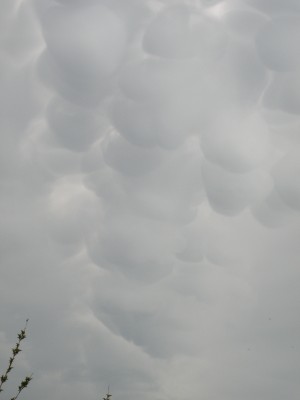 27.6.2022-2.JPG