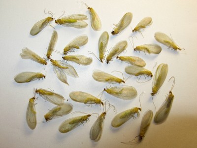IMG_7403_DxO.jpg
