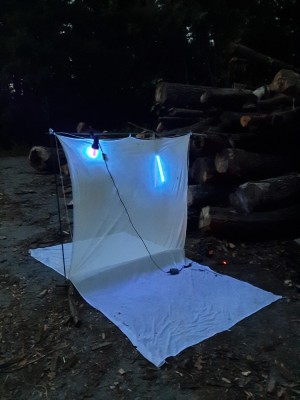 25W+5W