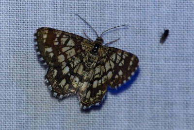 DSC01643_DxOz.jpg