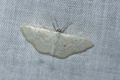 DSC01654_DxOz.jpg