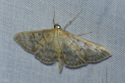 DSC01655_DxOz.jpg