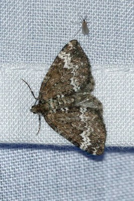 DSC01672_DxOz.jpg