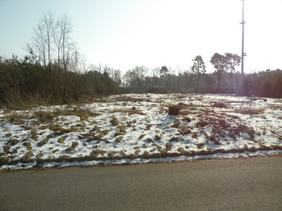 Neratovice-22.2.2025.1.JPG