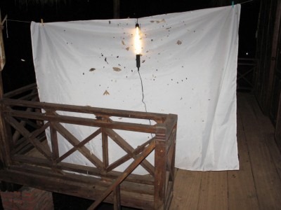 20110508_0161-LAO.JPG