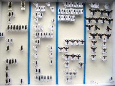 Afrika, bohužel zatím neurčené